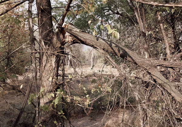 Odds_and_Sods Odds and Sods