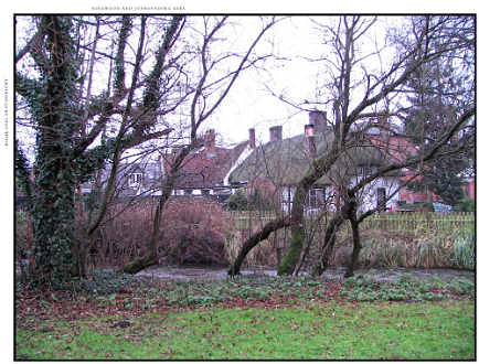 Ringwood, Hampshire, UK Nestled at the edge (now) of the New Forest, Ringwood is my home town in the UK