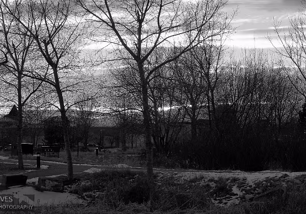 Chapungu_Sculpture_Park Chapungu Sculpture Park